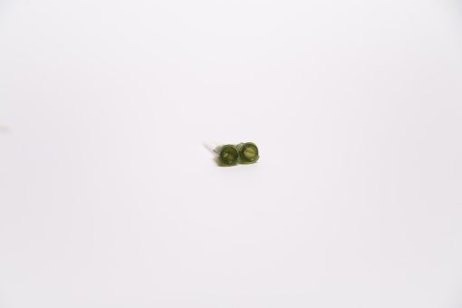 14G Flexible PolyPropylene Needle 1inch (25mm) - Image 3