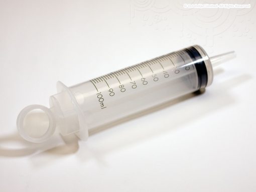 100ml Catheter Tip Syringe (BD)